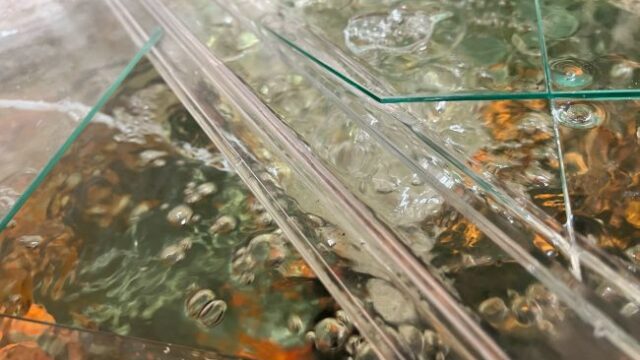 活性炭では臭いは消えない 金魚水槽の生臭い臭いの対策 金魚の水